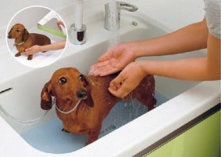 ペットとも人も大喜びペット対応洗面台